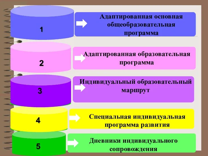 Адаптированная основная общеобразовательная программа Специальная индивидуальная программа развития 1 2