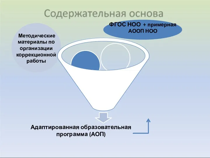 Адаптированная образовательная программа (АОП)