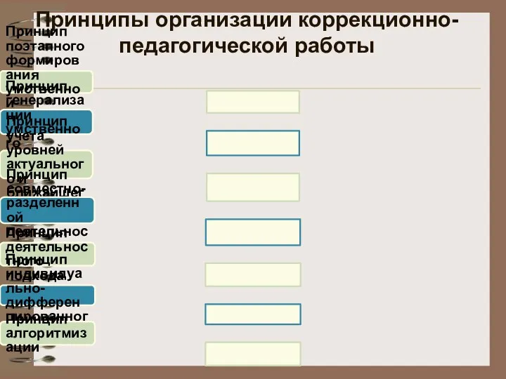 Принципы организации коррекционно-педагогической работы Принцип поэтапного формирования умственной деятельности Принцип