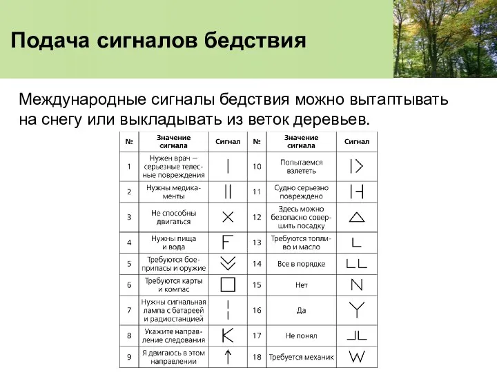 Подача сигналов бедствия Международные сигналы бедствия можно вытаптывать на снегу или выкладывать из веток деревьев.