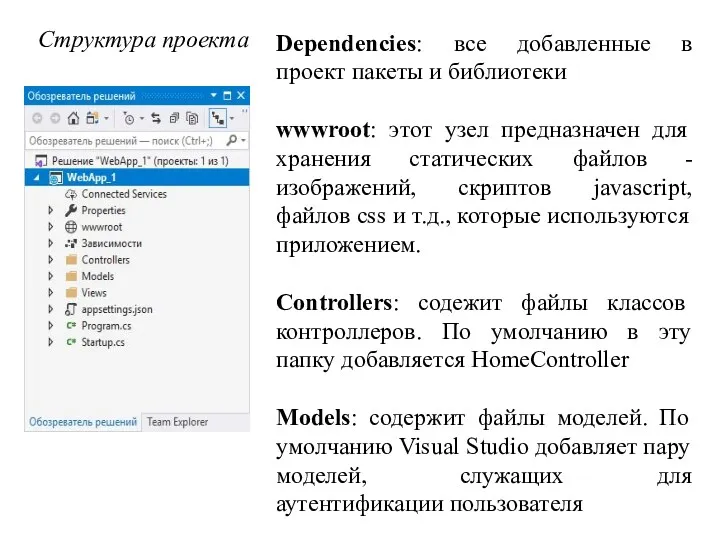 Структура проекта Dependencies: все добавленные в проект пакеты и библиотеки