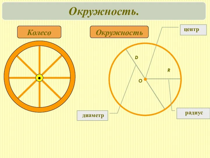 диаметр Окружность Колесо центр R D O радиус Окружность.