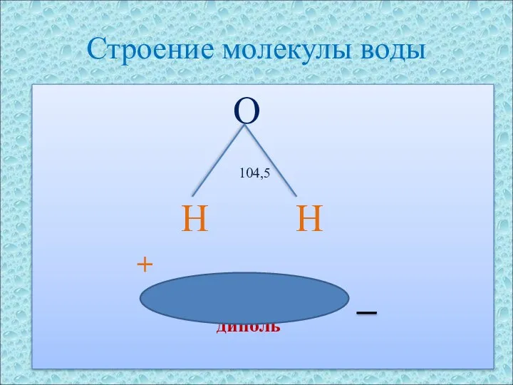 Строение молекулы воды O 104,5 H H + диполь