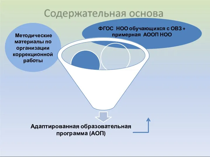 Адаптированная образовательная программа (АОП)