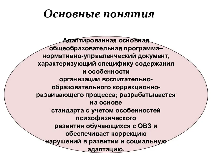 Основные понятия Адаптированная основная общеобразовательная программа– нормативно-управленческий документ, характеризующий специфику