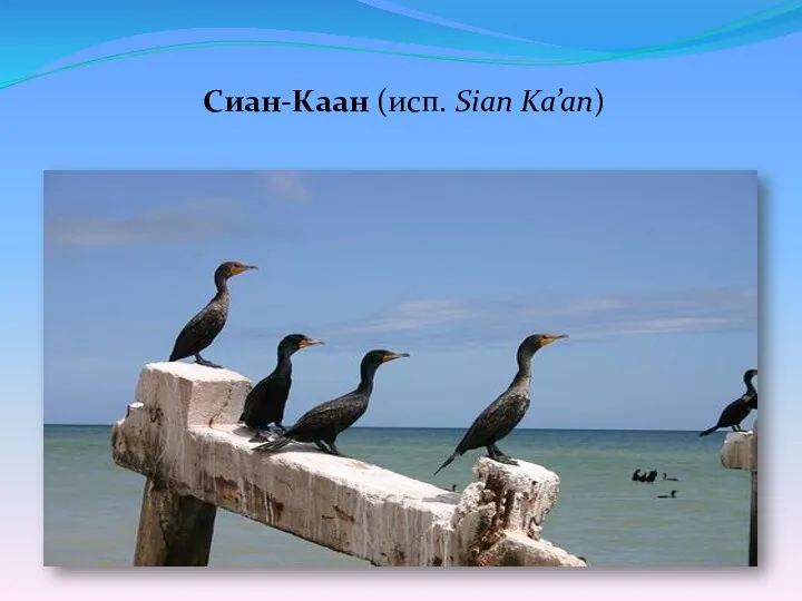 Сиан-Каан (исп. Sian Ka’an)