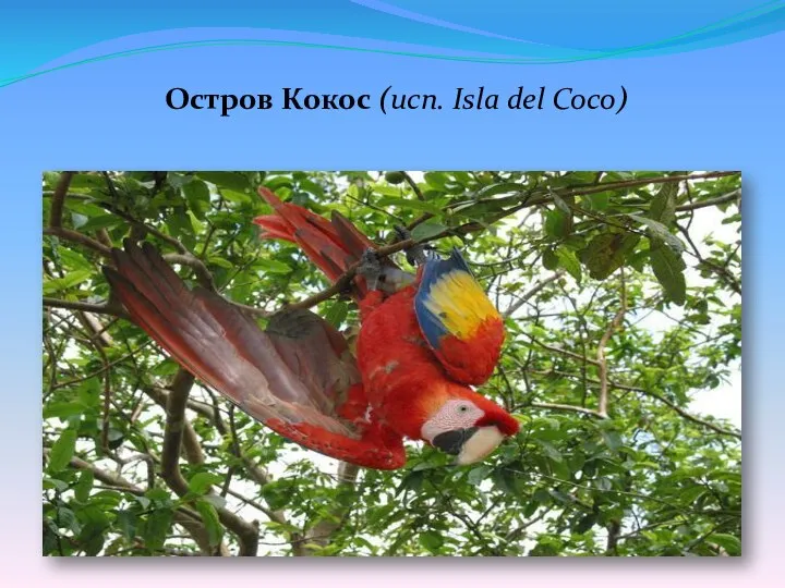 Остров Кокос (исп. Isla del Coco)