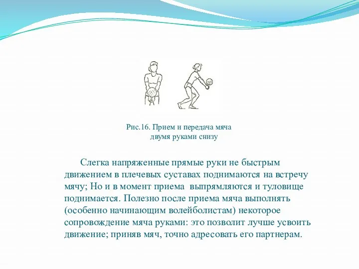 Рис.16. Прием и передача мяча двумя руками снизу Слегка напряженные прямые руки не