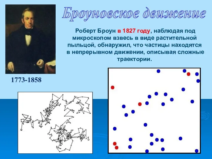 Броуновское движение 1773-1858 Роберт Броун в 1827 году, наблюдая под микроскопом взвесь в