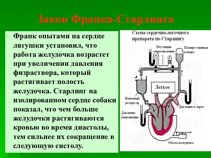 Франк опытами на сердце лягушки установил, что работа желудочка возрастет