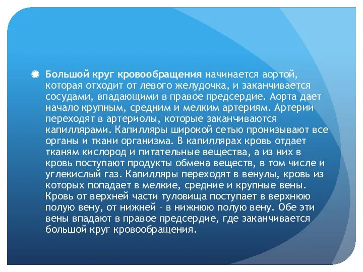 Большой круг кровообращения начинается аортой, которая отходит от левого желудочка,