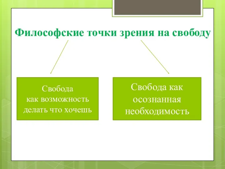 Философские точки зрения на свободу Свобода как возможность делать что хочешь Свобода как осознанная необходимость