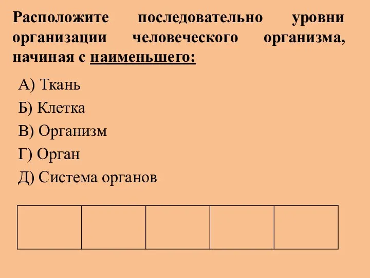 Расположите последовательно уровни организации человеческого организма, начиная с наименьшего: А) Ткань Б) Клетка