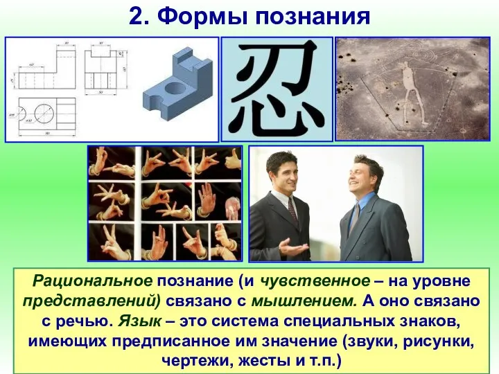 2. Формы познания Рациональное познание (и чувственное – на уровне