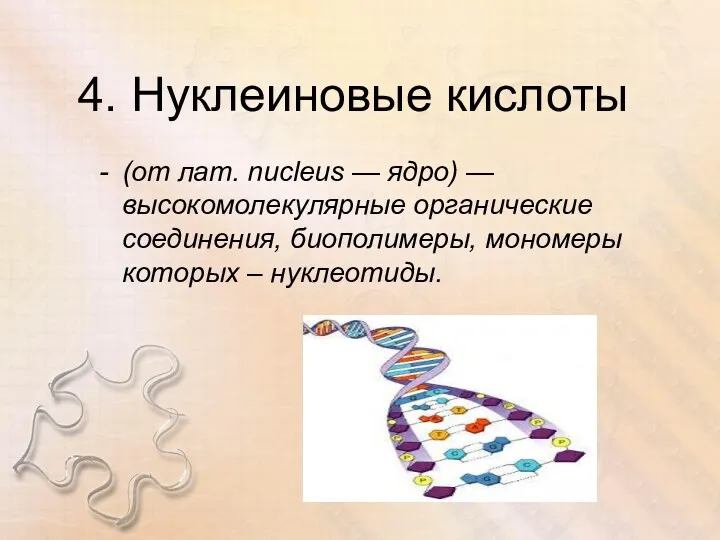 4. Нуклеиновые кислоты (от лат. nucleus — ядро) — высокомолекулярные