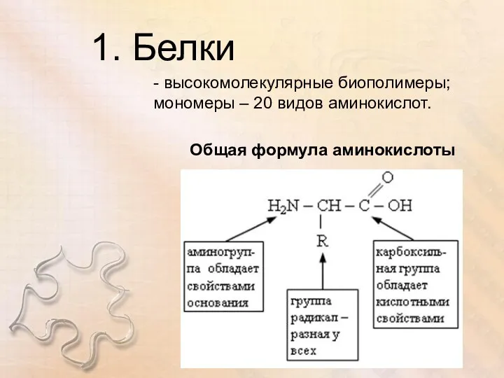 1. Белки - высокомолекулярные биополимеры; мономеры – 20 видов аминокислот. Общая формула аминокислоты