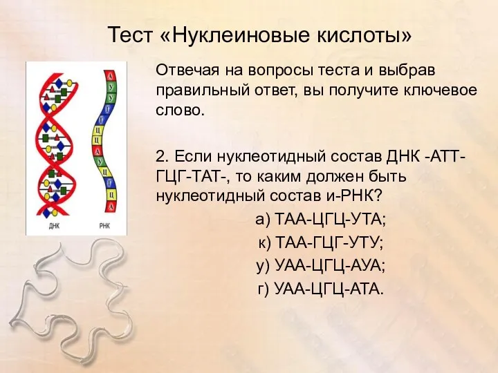 Тест «Нуклеиновые кислоты» Отвечая на вопросы теста и выбрав правильный