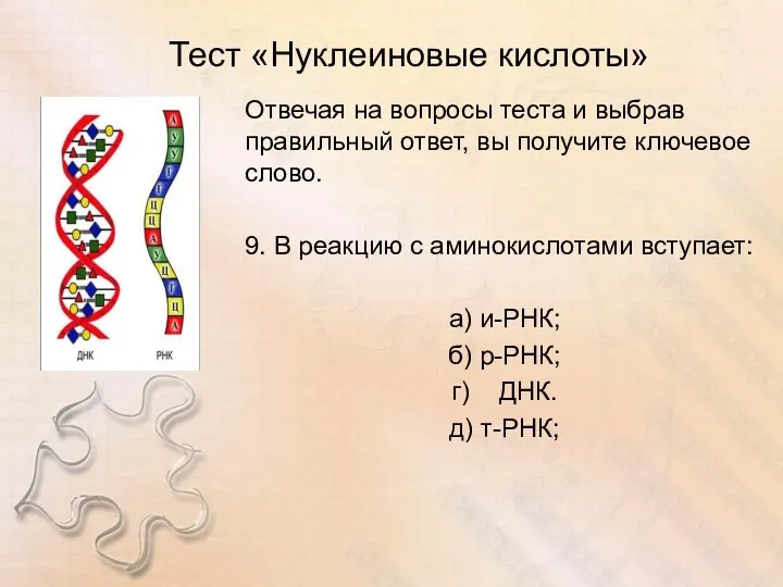 Тест «Нуклеиновые кислоты» Отвечая на вопросы теста и выбрав правильный