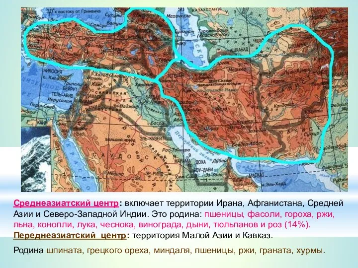 Среднеазиатский центр: включает территории Ирана, Афганистана, Средней Азии и Северо-Западной