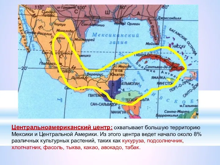 Центральноамериканский центр: охватывает большую территорию Мексики и Центральной Америки. Из
