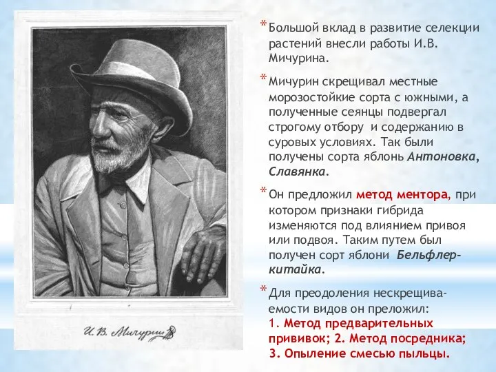 Большой вклад в развитие селекции растений внесли работы И.В.Мичурина. Мичурин