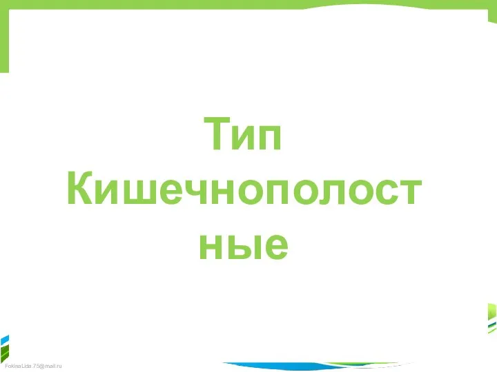 Тип Кишечнополостные