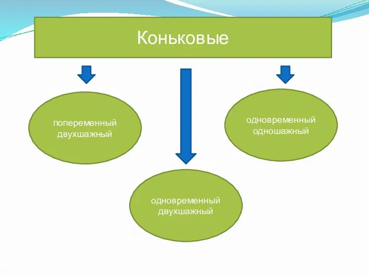 Коньковые одновременный двухшажный попеременный двухшажный одновременный одношажный