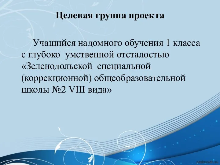 Целевая группа проекта Учащийся надомного обучения 1 класса с глубоко