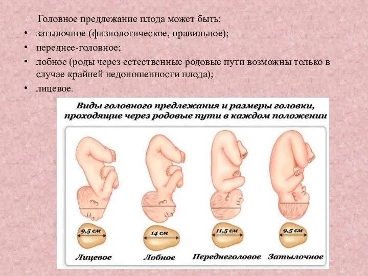 Головное предлежание плода может быть: затылочное (физиологическое, правильное); переднее-головное; лобное