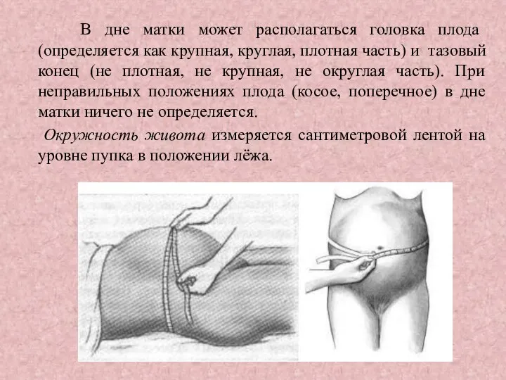 В дне матки может располагаться головка плода (определяется как крупная,