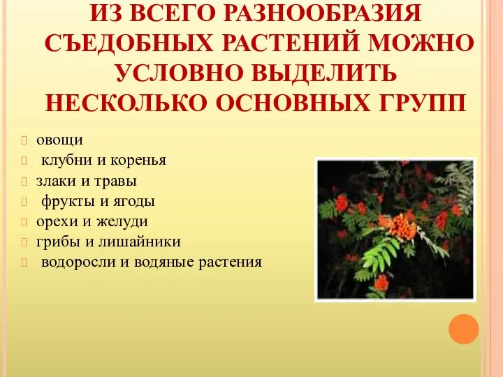 ИЗ ВСЕГО РАЗНООБРАЗИЯ СЪЕДОБНЫХ РАСТЕНИЙ МОЖНО УСЛОВНО ВЫДЕЛИТЬ НЕСКОЛЬКО ОСНОВНЫХ