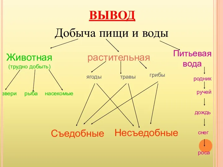 ВЫВОД Добыча пищи и воды Животная (трудно добыть)‏ растительная Питьевая