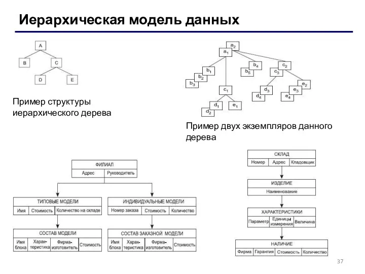 Иерархическая модель данных Пример структуры иерархического дерева Пример двух экземпляров данного дерева