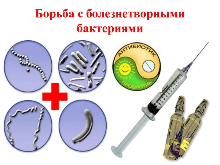 Борьба с болезнетворными бактериями Соблюдение правил личной гигиены Прививки и