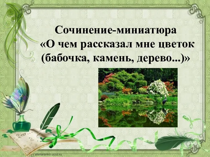 Сочинение-миниатюра «О чем рассказал мне цветок (бабочка, камень, дерево...)»