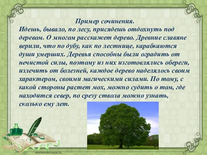 Пример сочинения. Идешь, бывало, по лесу, присядешь отдохнуть под деревом.