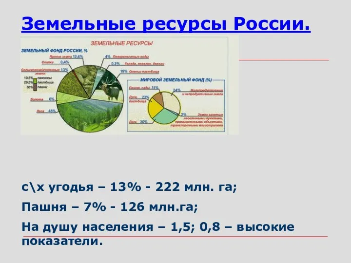Земельные ресурсы России. с\х угодья – 13% - 222 млн.