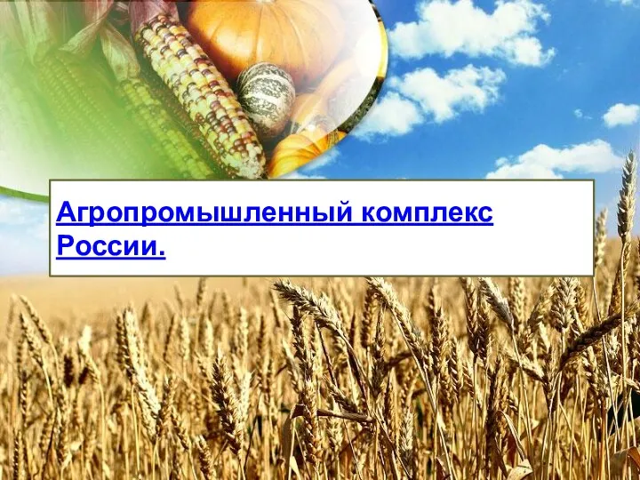 Агропромышленный комплекс России.