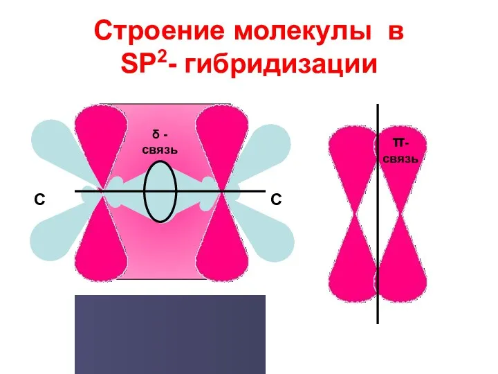 Строение молекулы в SP2- гибридизации δ -связь π-связь С С