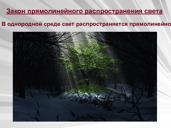 Закон прямолинейного распространения света В однородной среде свет распространяется прямолинейно