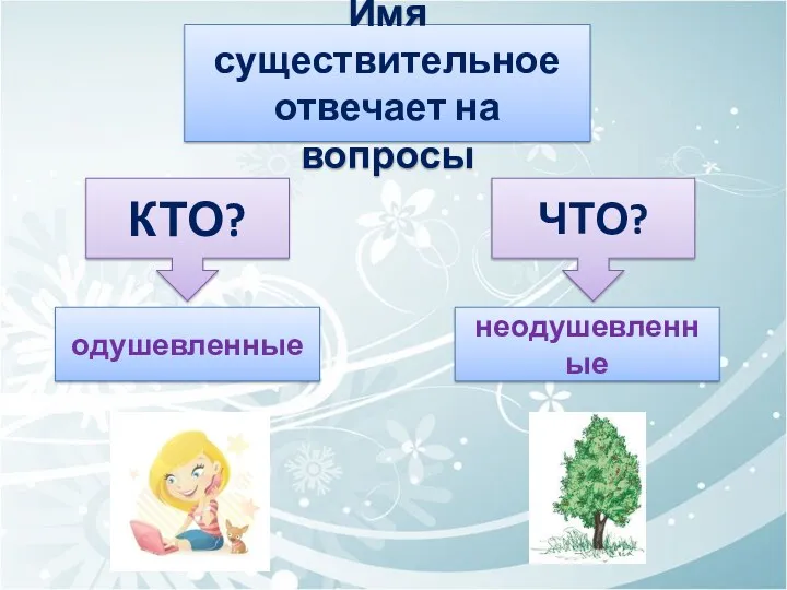 Имя существительное отвечает на вопросы КТО? ЧТО? одушевленные неодушевленные