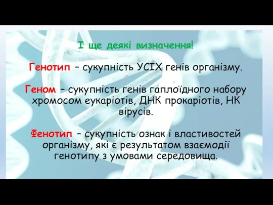 І ще деякі визначення! Генотип – сукупність УСІХ генів організму.