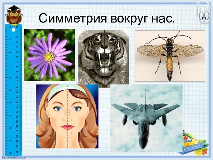 Симметрия вокруг нас.