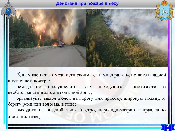 Действия при пожаре в лесу 28 . Если у вас