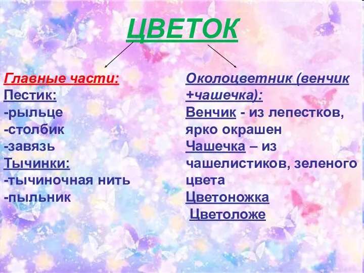 ЦВЕТОК Главные части: Пестик: -рыльце -столбик -завязь Тычинки: -тычиночная нить