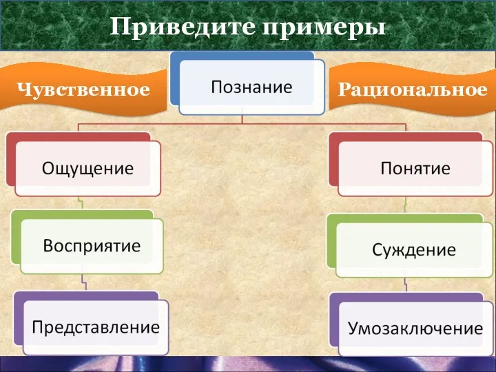 Формы познания Приведите примеры Чувственное Рациональное