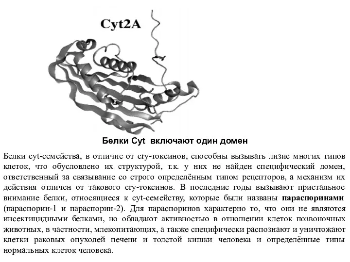 Белки Cyt включают один домен Белки cyt-семейства, в отличие от