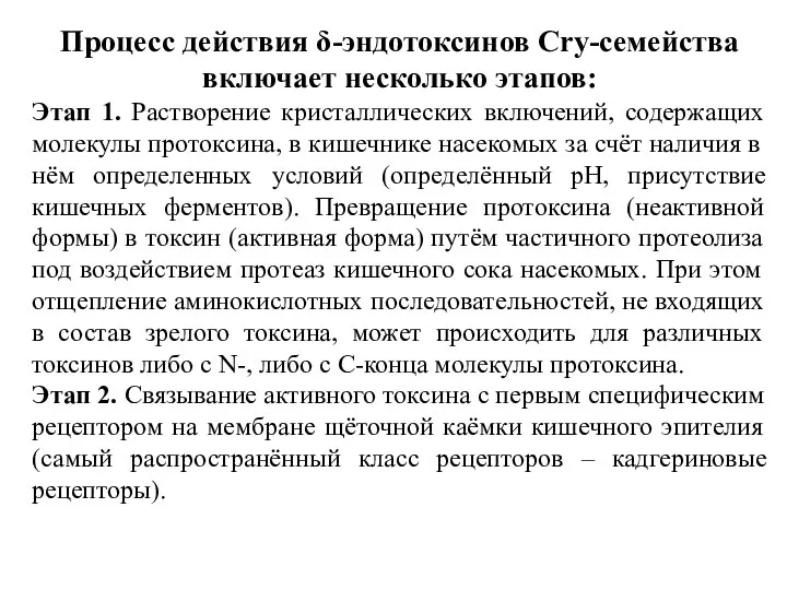 Процесс действия δ-эндотоксинов Cry-семейства включает несколько этапов: Этап 1. Растворение