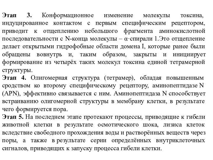 Этап 3. Конформационное изменение молекулы токсина, индуцированное контактом с первым