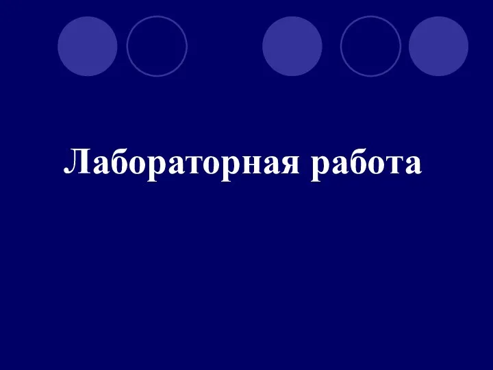 Лабораторная работа